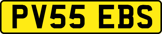 PV55EBS