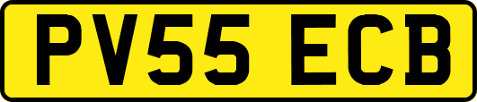 PV55ECB