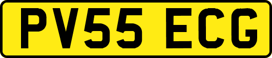 PV55ECG