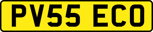 PV55ECO