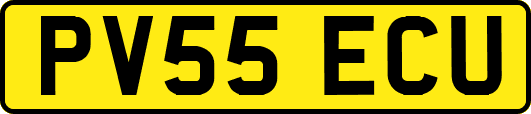 PV55ECU