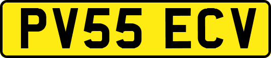PV55ECV