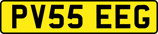 PV55EEG