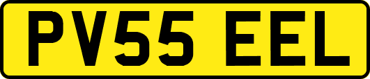 PV55EEL