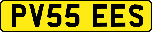 PV55EES