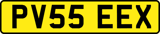 PV55EEX
