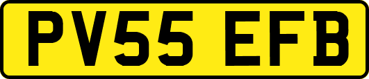 PV55EFB