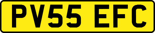 PV55EFC
