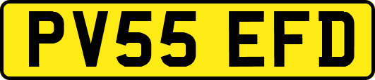 PV55EFD