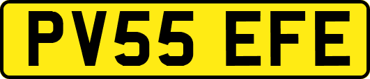 PV55EFE