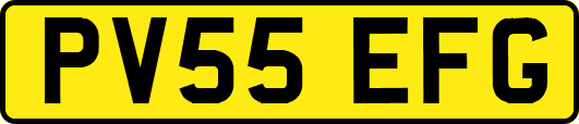 PV55EFG
