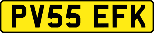 PV55EFK