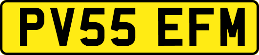 PV55EFM