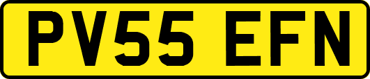 PV55EFN