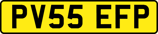 PV55EFP