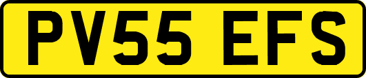 PV55EFS