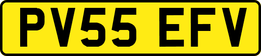 PV55EFV