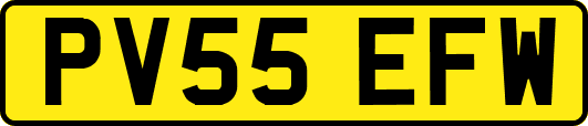PV55EFW