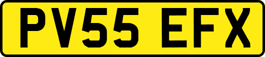 PV55EFX