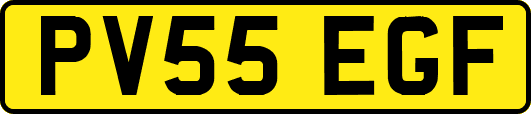 PV55EGF