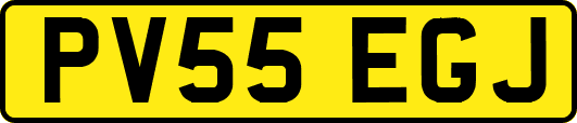 PV55EGJ