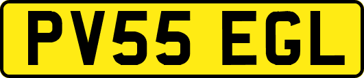 PV55EGL
