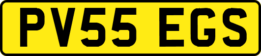 PV55EGS