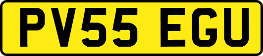 PV55EGU