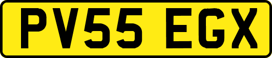 PV55EGX