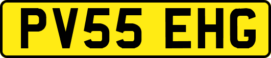 PV55EHG