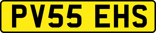 PV55EHS