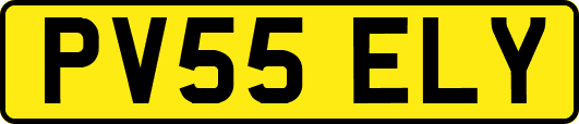 PV55ELY