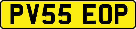 PV55EOP