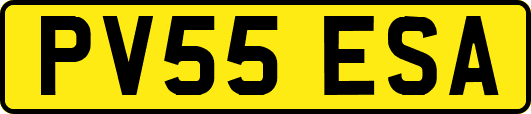 PV55ESA