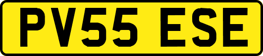 PV55ESE