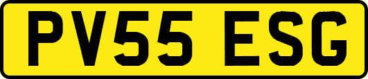 PV55ESG
