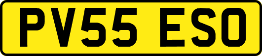 PV55ESO