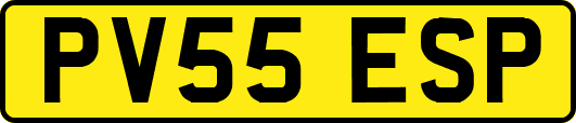 PV55ESP