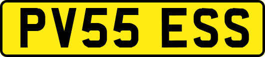 PV55ESS