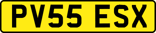 PV55ESX