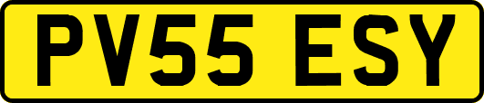 PV55ESY