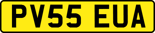 PV55EUA
