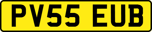 PV55EUB
