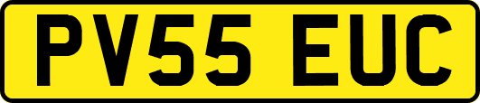 PV55EUC