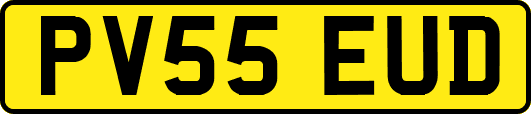 PV55EUD