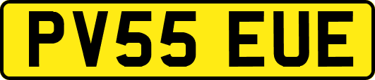 PV55EUE