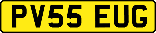 PV55EUG
