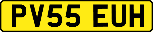PV55EUH