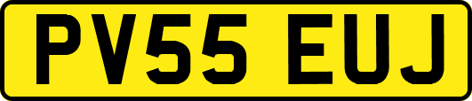 PV55EUJ