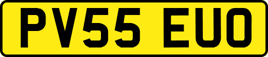 PV55EUO